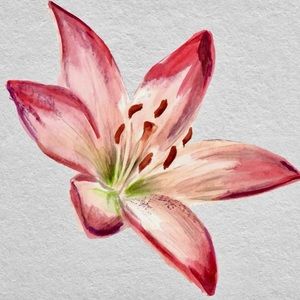 Meet your Posher, Ella